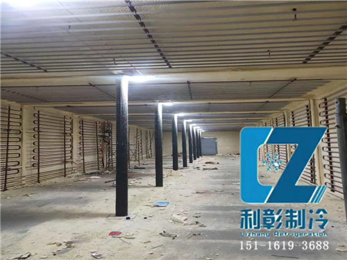 湖南天壹生物科技冷庫1